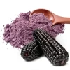 PURPLE CORN (Powerful Antioxidant)